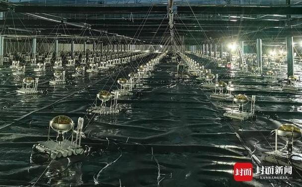 封面新闻记者 陈彦霏 图片由受访者提供